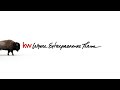 Charge the Storm in the Real Estate Industry | Join Keller Williams, Where Entrepreneurs Thrive!