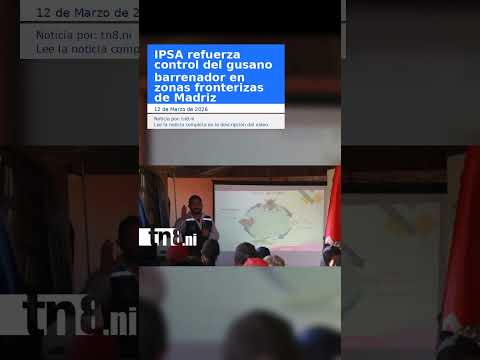IPSA refuerza control del gusano barrenador en zonas fronterizas de Madriz