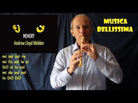 MEMORY  (LA CONOSCI l'hai sentita spesso)