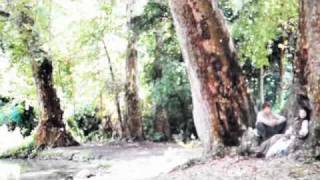 I Ain&#39;t Scared Of Lightning [Jack/Aliena]