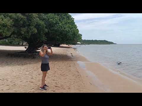 Santarem, Para, alter do chão (suelo alterado), parte 2, 26/2/26.