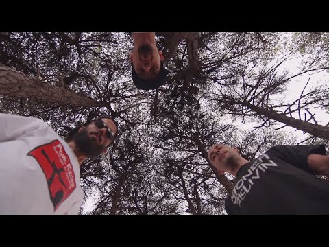 ANYMAL RACIONAL - Paz e União [ feat. WTDPG ]