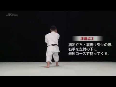 Shisochin   Goju Ryu Karate -  Tetsuya Furukawa