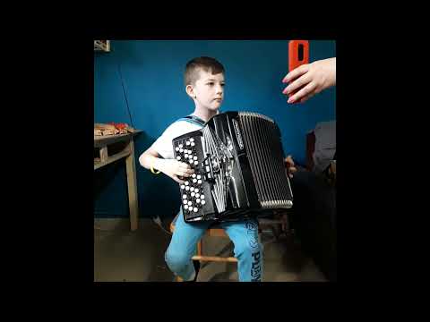 Akordeon 96b Weltmeister Fionetta po polerowaniu