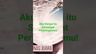 Download lagu Aku Hargai itu Semangat Perjuanganmu #timnas #timnasday #timnasindonesia mp3