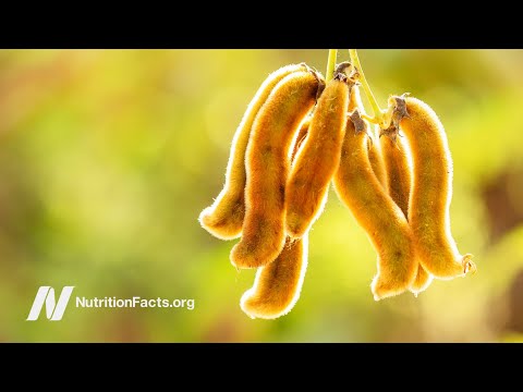 Treating Parkinson s Disease with Diet