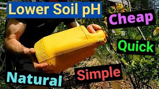 How to Lower ph in Soil Naturally Quick Simple Cheap, Blueberry Plants
