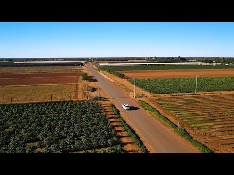 Destination WA - Shark Bay to Carnarvon, the Coral Coast Highway