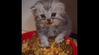 Cover art for Heart to Heart