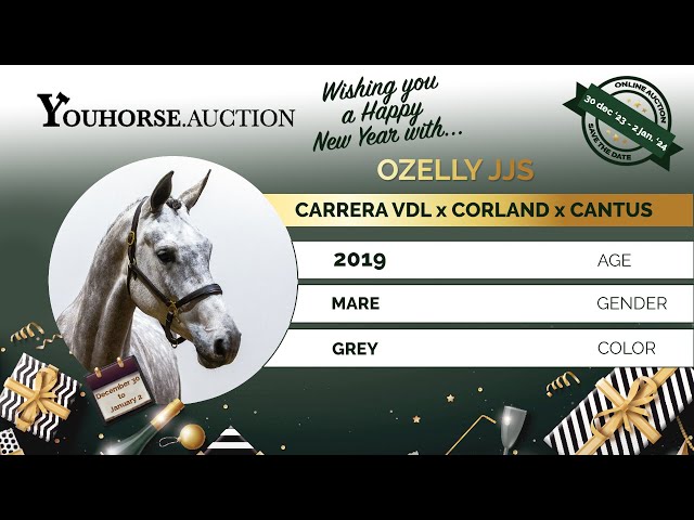 Ozelly first time practice course