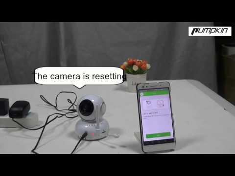 Pumpkin 960P HD wifi camera C2401W
