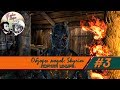 Обзоры модов: Skyrim #3 "Лорная шкура" 