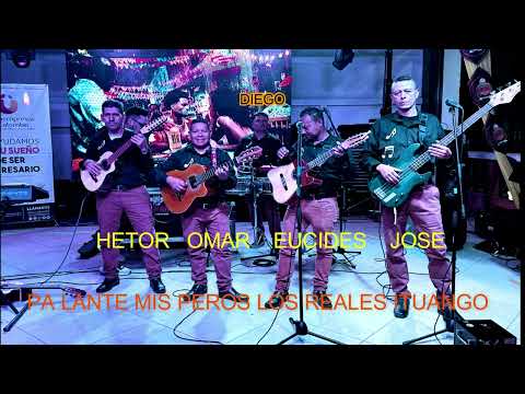 PALANTE MIS PEROS los reales de ituango