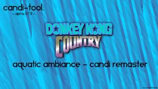 candi-tool: David Wise - Aquatic Ambiance (DJ Candi Remaster)