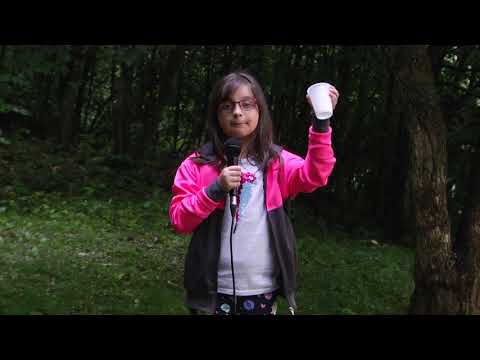 CRISTINA GHITA - În cât timp se descompun gunoaiele lăsate în natură de turiști