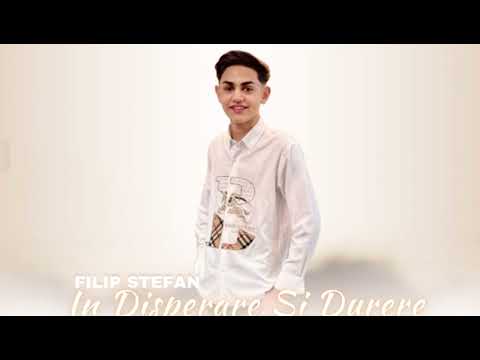Filip Ștefan - În disperare si Durere(COVER)