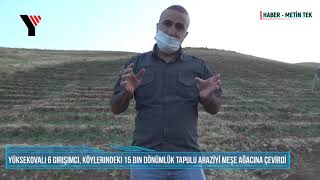Yüksekovalı 6 Girişimci, Köylerindeki 15 Bin Dönümlük Tapulu Araziyi Meşe Ağacına Çevirdi