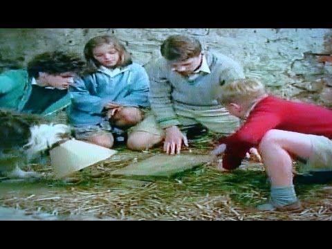 Famous Five on A Secret Trail