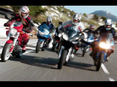 Goliniak - Urodzony z pasją