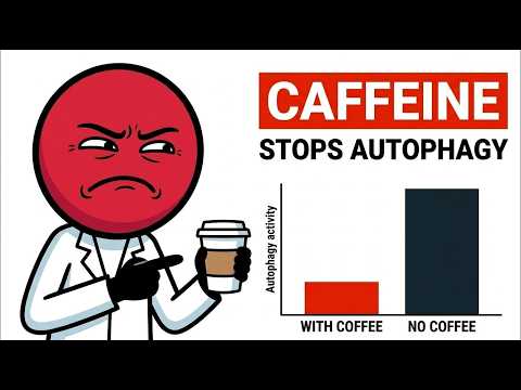 Why Your Morning Coffee Is Secretly Breaking Your Fast