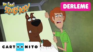 30 Dakikalık Scooby-Doo Maceraları | SAKİN OL SCOOBY-DOO | @CartoonitoTurkiye