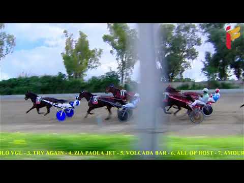 II Corsa del 27 Dicembre 2021 - II Batteria Trofeo " San Silvestro" Metri 1600