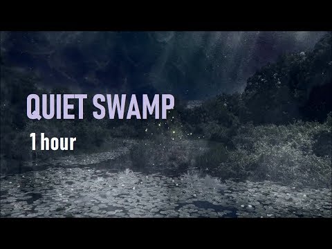 Quiet Swamp Night Ambience - 1 hour Frogs, Crickets, Cicada with Light Rain