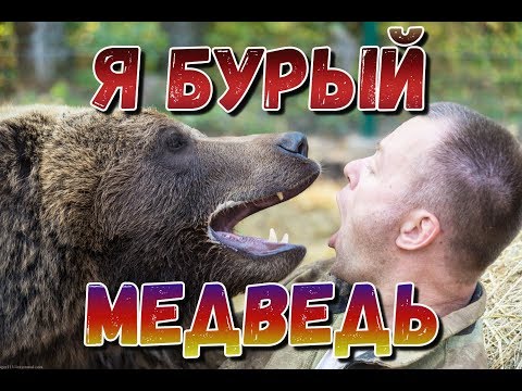 Я Бурый медведь!🐻💗 /Bear Mansur