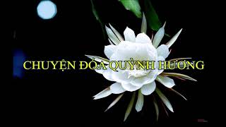 Chuyện đóa quỳnh hương, Trịnh Công Sơn, Nguyễn Tuấn Khoa trình bày