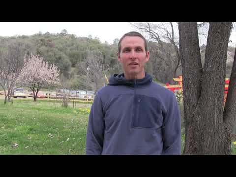 Permaculture Design Course 2019 at the Sivananda Yoga Farm