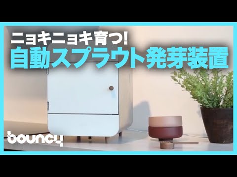 スプラウトジャー: スプラウトの栽培に最適です 庭の練習