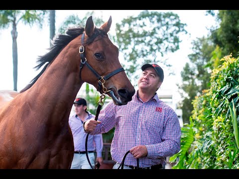 2022 Magic Millions GC National Broodmare Sale - Lot 1078