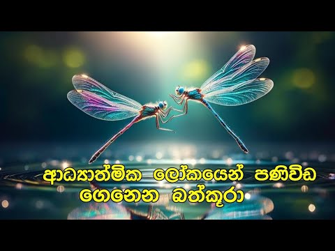 ඔයාට දැන් නිතරම පේන්නේ බත්කූරොද ✨️||එහෙනම් ඔයාට විශ්වයෙන් ලොකු ආශීර්වාදයක්