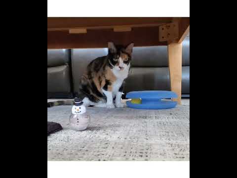 Crystal the Pet Nanny. LLC video.