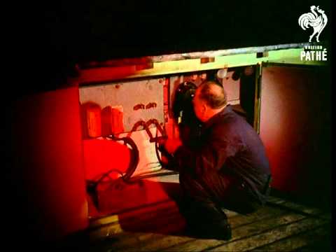 Southend Illuminations (1955)