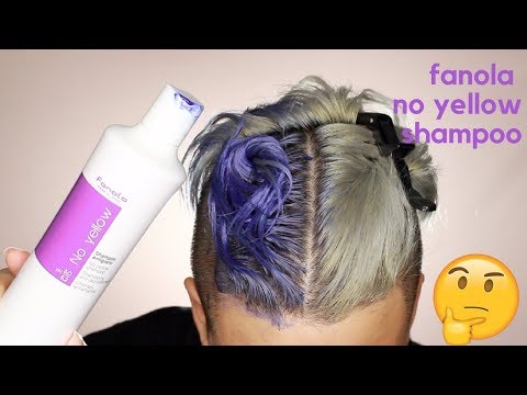 FANOLA NO YELLOW SHAMPOO \\ PURPLE SHAMPOO \\ MAINTAIN...