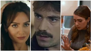 Ibrahim celikkol who is an immigrant from and Ibrahim and Birce akalay acted together many 