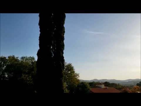 Steve Gadd Band (with Walt Fowler, Michael Landau & Larry Goldings),  Phoenix (2022)