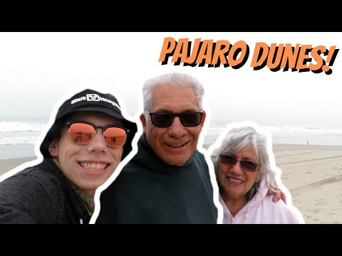 image-Is Pajaro Dunes safe?