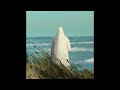 FREE Bb Jacques X Luv Resval X Nes Type Beat Face Au Doute
