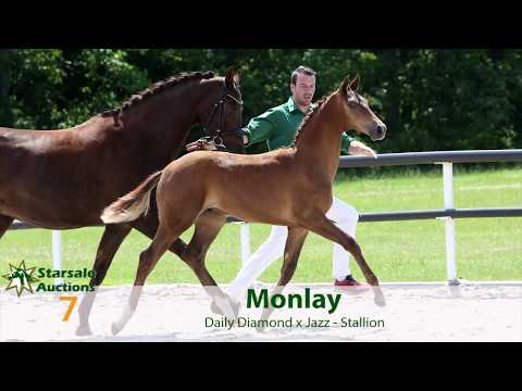 Catalognumber 7 (V2)