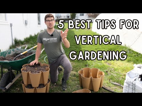 Do These FIVE Things For Vertical Gardening Success!