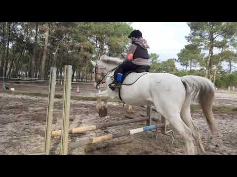 23/12/20 Séance Galops 1/2/3 un peu de saut d'obstacles