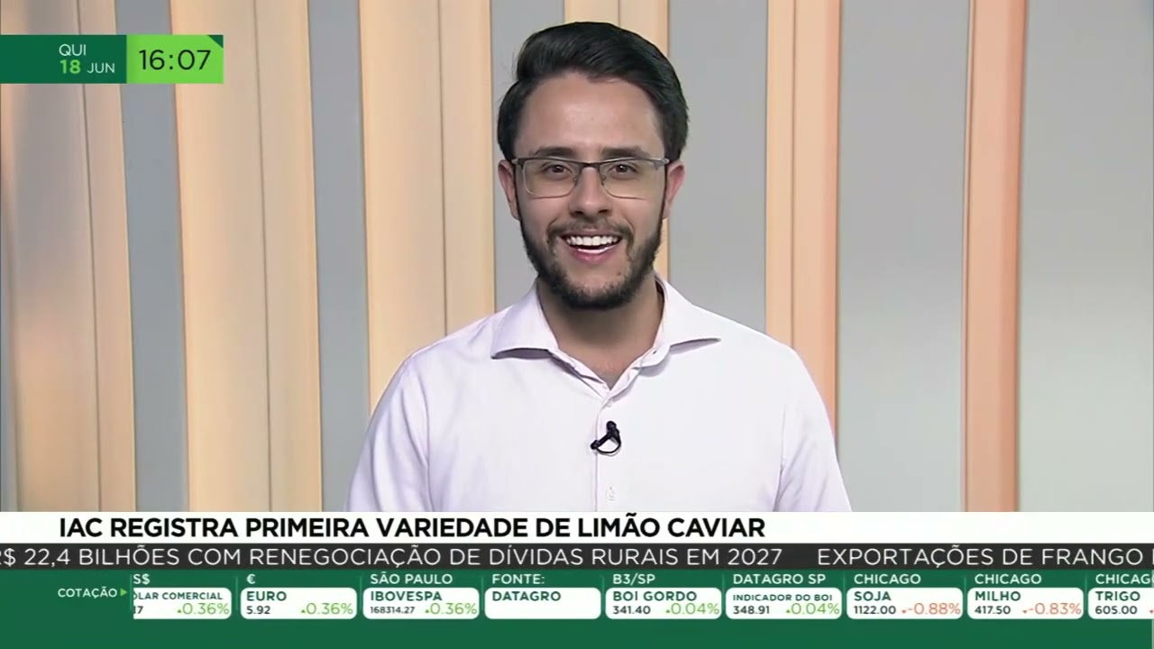 IAC registra primeira variedade de limão caviar