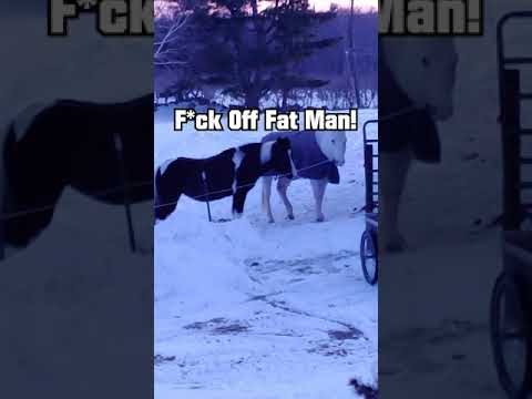 メイン州での生活はどんな感じですか??