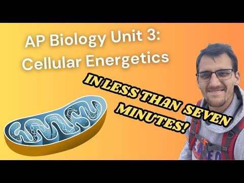 (2019 curriculum) AP Biology Unit 3 SPEED REVIEW (Shorts Compilation)
