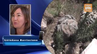 terra-dei-fuochi-bimbi-morti-offesi-su-facebook