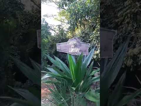 português mineiros do Tietê é xol