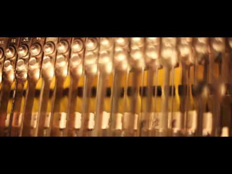 Bethel Music - Without Words Album Promo