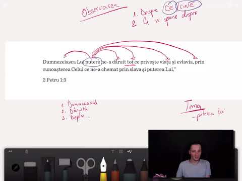 Studiu Ep.007 | Procesul observării și aplicațiile practice